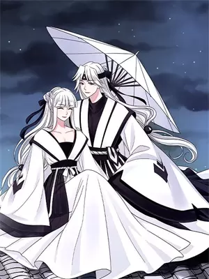 双生火焰历史