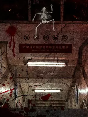 夏日映荷是什么意思