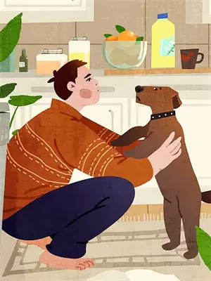 老板的小舅子是什么意思